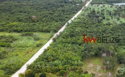/international/bz/-prime-20-acre-property-on-the-northern-highway-northern-highway-belize-district-310104831340/