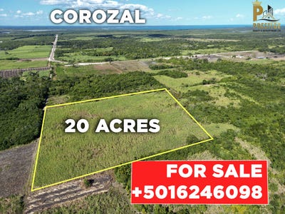 /international/bz/copper-bank-copper-bank-corozal-district-310104943370/