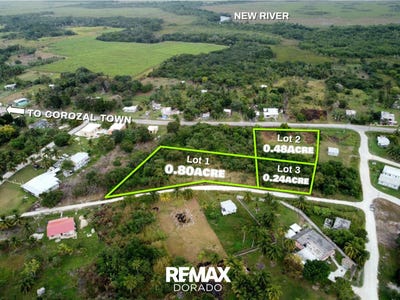 /international/bz/libertad-village-corozal-district-libertad-corozal-district-libertad-corozal-district-310102490662/