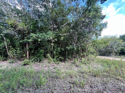 /international/bz/1588-serenity-rd-corozal-district-corozal-district-310099942253/