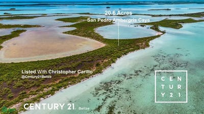 /international/bz/san-pedro-ambergris-caye-san-pedro-belize-san-pedro-belize-district-310107428959/
