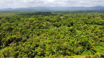 /international/bz/wm8m-53-stann-creek-district-stann-creek-district-310106937183/