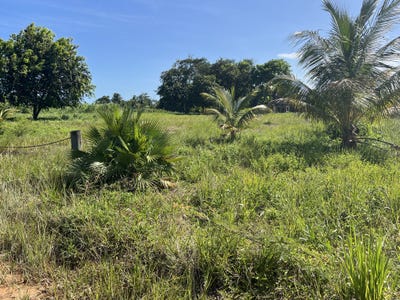 /international/bz/sittee-river-stann-creek-district-310107375780/