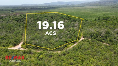 /international/bz/coastal-road-stann-creek-stann-creek-district-stann-creek-stann-creek-district-310101155686/?lang=zh-cn