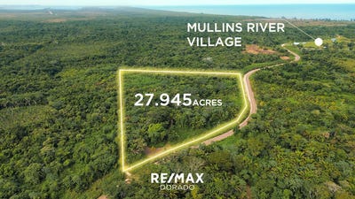 /international/bz/prime-mullins-river-acreage-belize-mullins-river-stann-creek-district-mullins-river-stann-creek-district-310107068601/