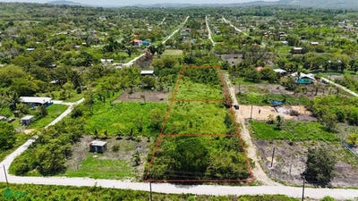 /international/bz/bullet-tree-falls-bullet-tree-cayo-bullet-tree-cayo-district-310101884017/