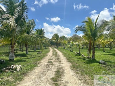 /international/bz/la-gracia-la-gracia-cayo-district-310108645365/