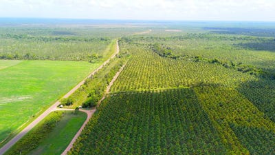 /international/bz/qjp7-7q-stann-creek-district-stann-creek-district-310106080506/