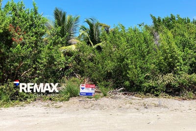 /international/bz/north-caye-caulker-caye-caulker-belize-district-caye-caulker-belize-district-310106549342/