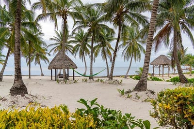 /international/bz/villas-de-isla-bonita-unit-b2-san-pedro-town-ambergris-caye-310103351597/