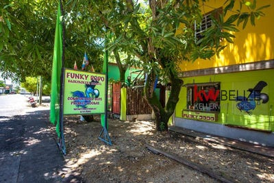 /international/bz/-belize-turn-key-backpacker-hostel-for-sale-in-hopkins-belize-turn-key-backpacker-hostel-for-sale-in-hopkins-hopkins-stann-creek-district-310104833196/