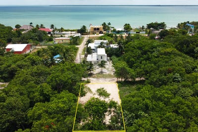 /international/bz/finca-solana-area-corozal-corozal-town-corozal-district-corozal-town-corozal-district-310101999363/