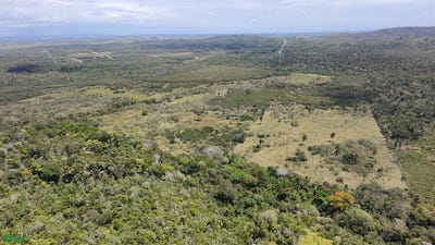 /international/bz/cadena-creek-san-ignacio-cayo-district-310106860881/