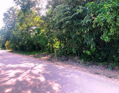 /international/bz/consejo-village-road-corozal-district-corozal-district-310101131902/?lang=en