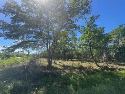/international/bz/hopkins-stann-creek-district-310106429745/