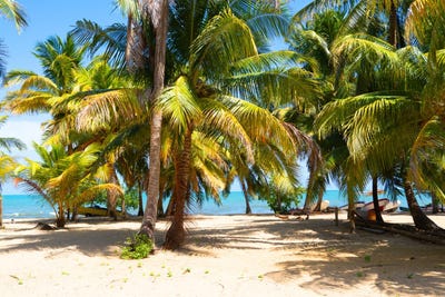 /international/bz/vp39-ww4-hopkins-belize-hopkins-stann-creek-district-310106686924/