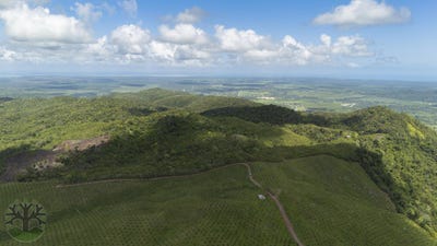 /international/bz/2j43-42-stann-creek-district-stann-creek-district-310108323946/