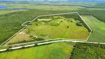 /international/bz/7hhq-hm-corozal-district-corozal-district-310106079045/