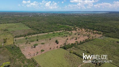 /international/bz/-43-acres-near-corozal-town-corozal-town-corozal-district-310108813105/