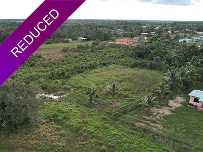/international/bz/burrell-boom-belize-city-120092379861/