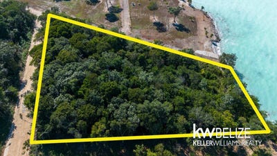 /international/bz/-two-lots-in-warree-bight-warree-bight-corozal-district-310106199760/