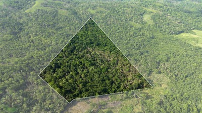 /international/bz/5vrp-9p-cayo-district-cayo-district-310106397377/