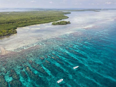 /international/bz/turneffe-atoll-off-the-coast-of-belize-city-belize-district-310107217087/