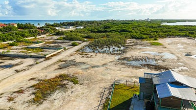 /international/bz/san-pedro-belize-ambergris-caye-ambergris-caye-ambergris-caye-belize-city-310107623499/