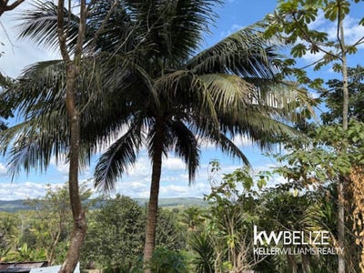 /international/bz/-land-for-sale-in-bullet-tree-village-bullet-tree-village-cayo-district-310106337246/