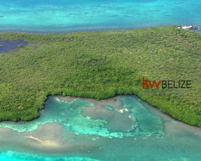 /international/bz/-41-18-acres-on-the-southern-half-of-columbus-caye-columbus-caye-stann-creek-district-310104831184/