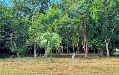 /international/bz/cmwp-23-consejo-belize-corozal-district-corozal-district-310101082492/?lang=en