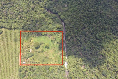 /international/bz/mullins-river-mullins-river-stann-creek-district-310106570256/