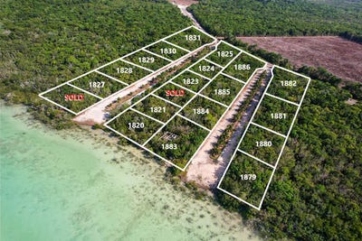 /international/bz/8mh6-ff-corozal-district-corozal-district-310108159446/