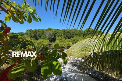/international/bz/mayan-sunrise-south-point-caye-caulker-caye-caulker-belize-district-caye-caulker-belize-district-310106067310/