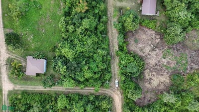 /international/bz/hummingbird-highway-belmopan-cayo-belmopan-cayo-district-310103713334/