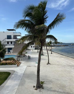 /international/bz/1743-playa-asuncion-caye-caulker-belize-district-310101281481/?lang=en