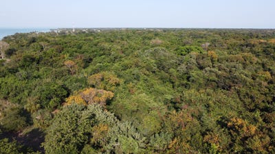 /international/bz/sarteneja-sarteneja-corozal-district-sarteneja-corozal-district-310105913033/