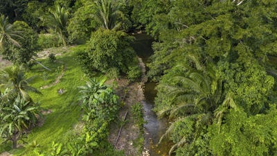 /international/bz/436g-9w-cayo-district-cayo-district-310106399710/