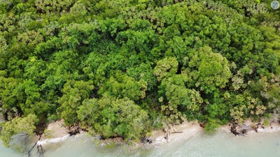 /international/bz/ocean-front-monkey-river-town-toledo-district-310104334836/
