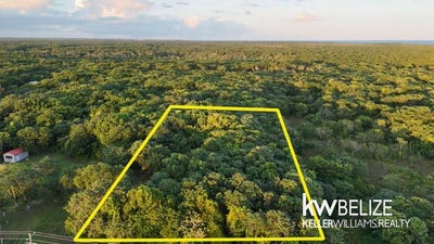 /international/bz/-2-8-acres-serenity-road-corozal-2-8-acres-serenity-road-corozal-corozal-corozal-district-310106199758/
