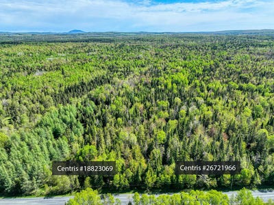 /international/ca/route-du-3e-rang-disraeli-paroisse-quebec-310105057790/