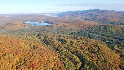 /international/ca/allee-du-domaine-johannsen-mont-tremblant-quebec-310120518669/
