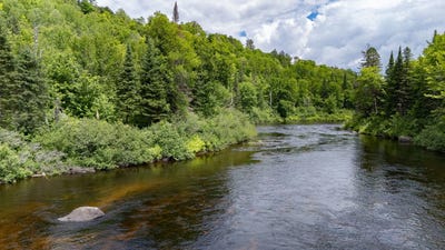 /international/ca/rg-st-vincent-sainte-beatrix-quebec-310103764178/