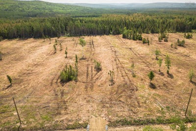 /international/ca/alpine-ridge-road-lot-5-mabou-nova-scotia-310098577541/