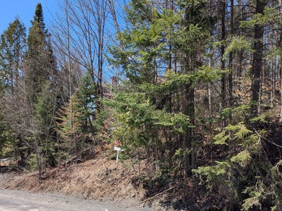 /international/ca/rue-du-mont-blanc-sainte-agathe-des-monts-quebec-310105759360/