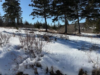 /international/ca/hirtles-beach-road-kingsburg-nova-scotia-310106408703/