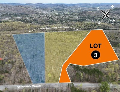 /international/ca/ch-de-la-montagne-piedmont-quebec-310099463857/