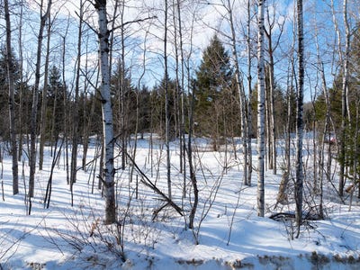 /international/ca/mtee-des-whissell-mont-laurier-quebec-310106411448/