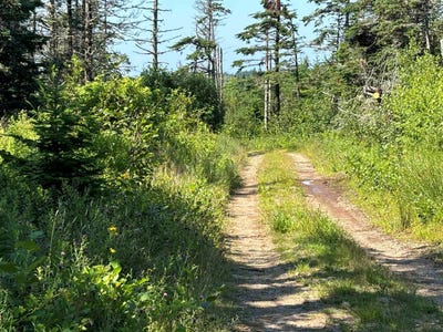 /international/ca/old-post-road-lot-1-lake-midway-nova-scotia-310101322919/?lang=zh-cn