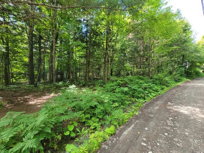 /international/ca/ch-de-la-cote-st-ambroise-saint-lin-laurentides-quebec-310120518987/